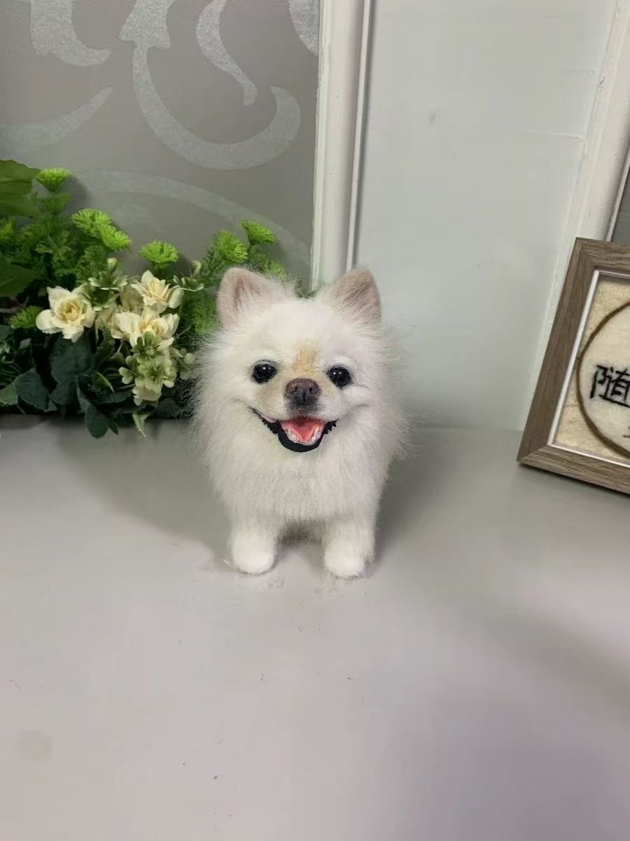 Wool Felt Pet Customization