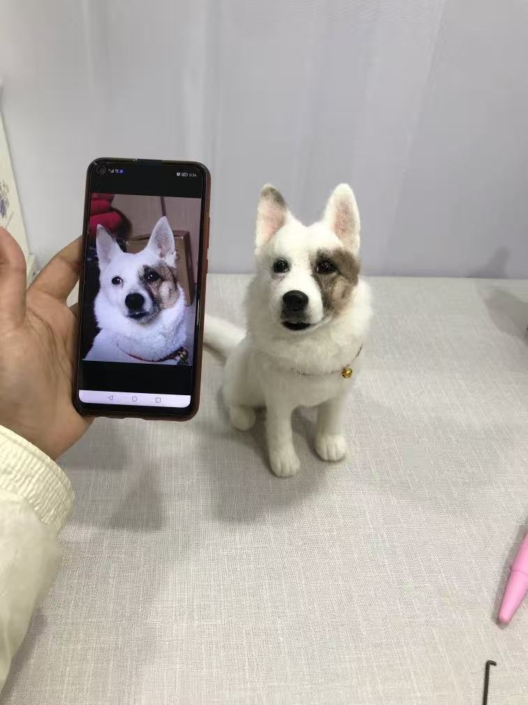 Wool Felt Pet Customization