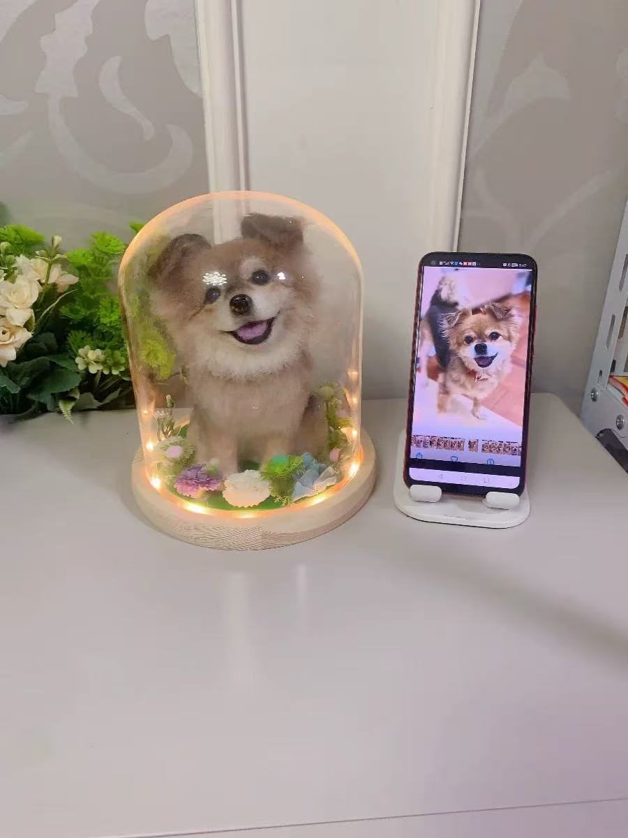 Wool Felt Pet Customization